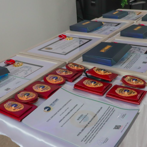 Image of Civil Diplomat Jethro International Badge and Credentials